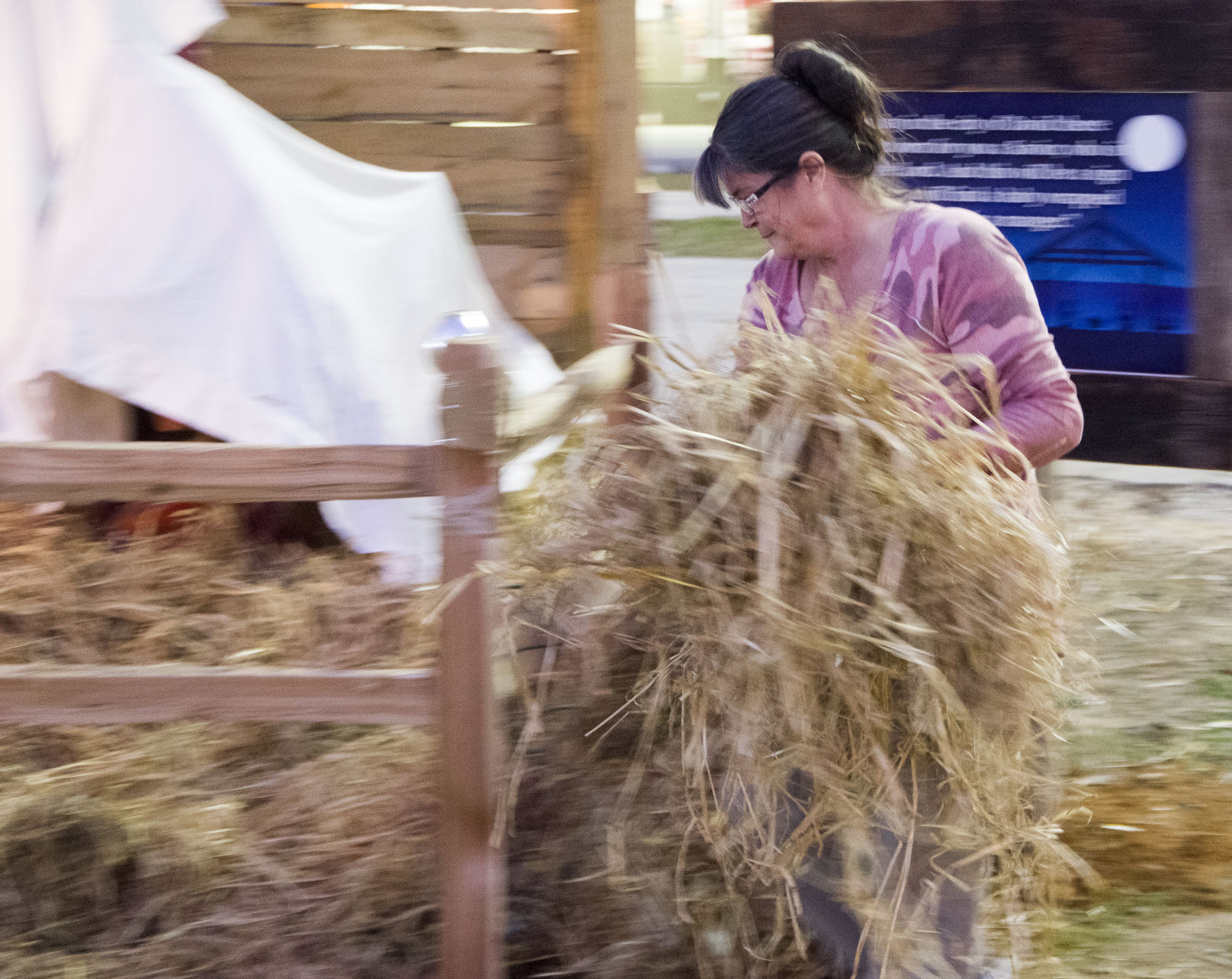 Darlington Nativity
